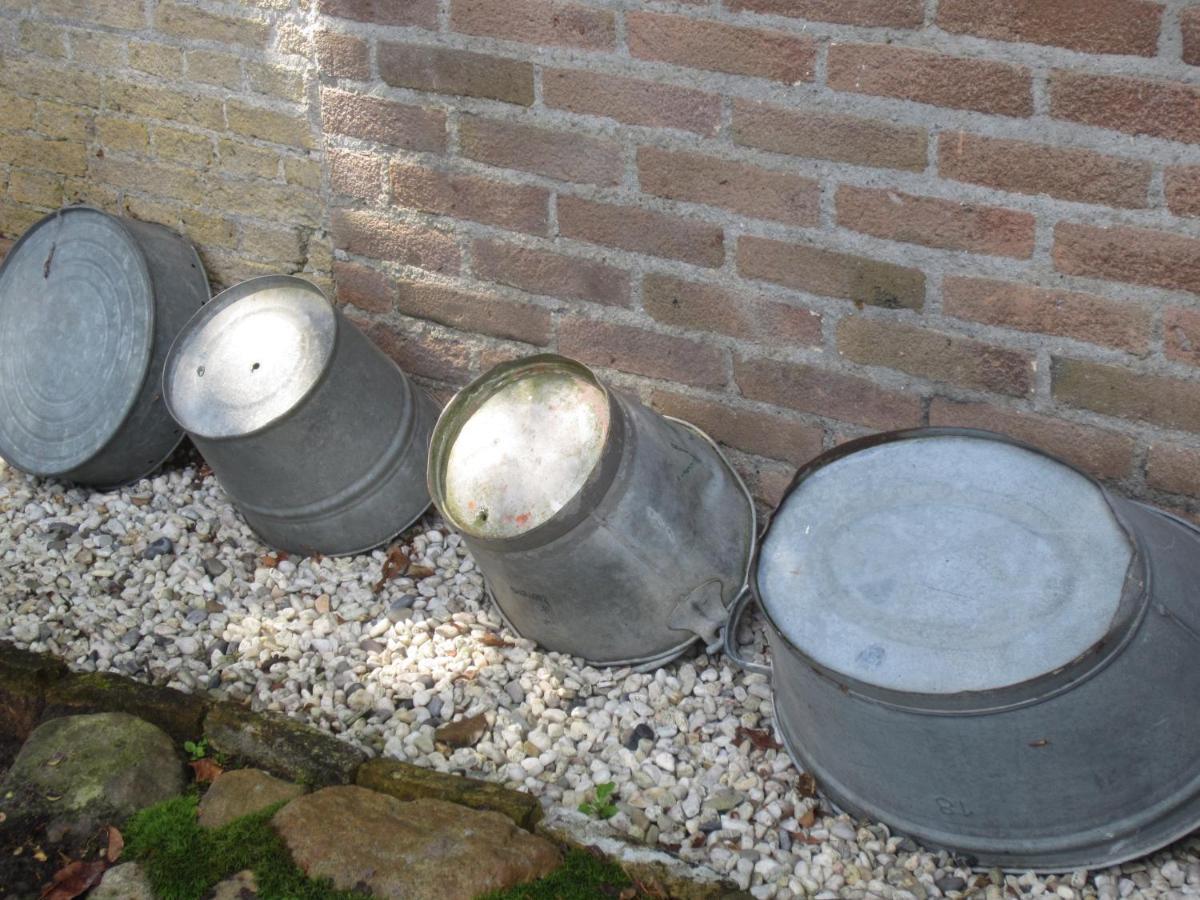 B&B De Gouden Vlo Donkerbroek Bagian luar foto